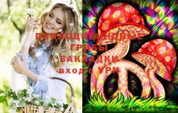 мескалин Коряжма