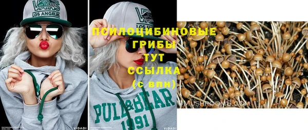 мескалин Коряжма